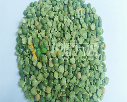 <a href=http://m.378492.com/product/8/ target=_blank class=infotextkey>豌豆脫皮機(jī)</a>